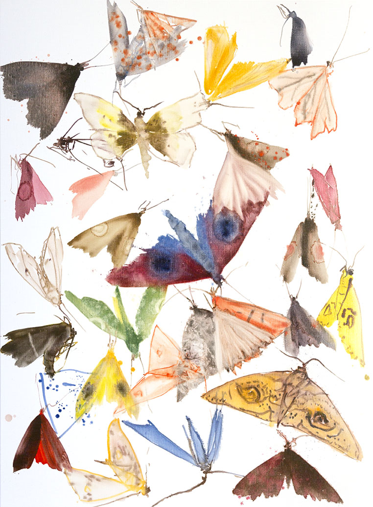 Moths - Overlay